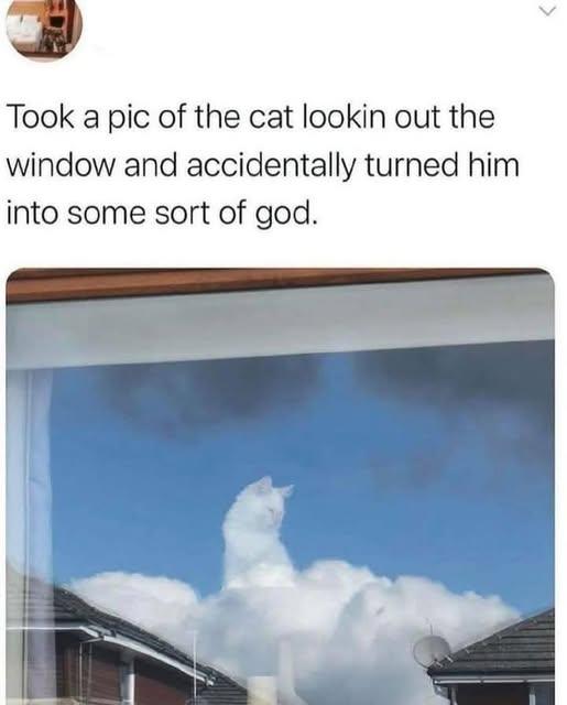 cat god.jpg