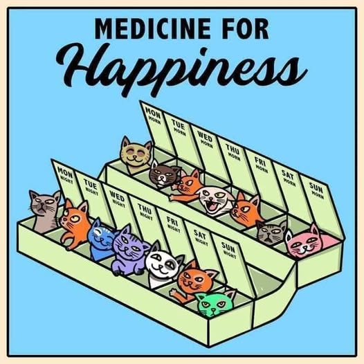 medicine for happiness.jpg