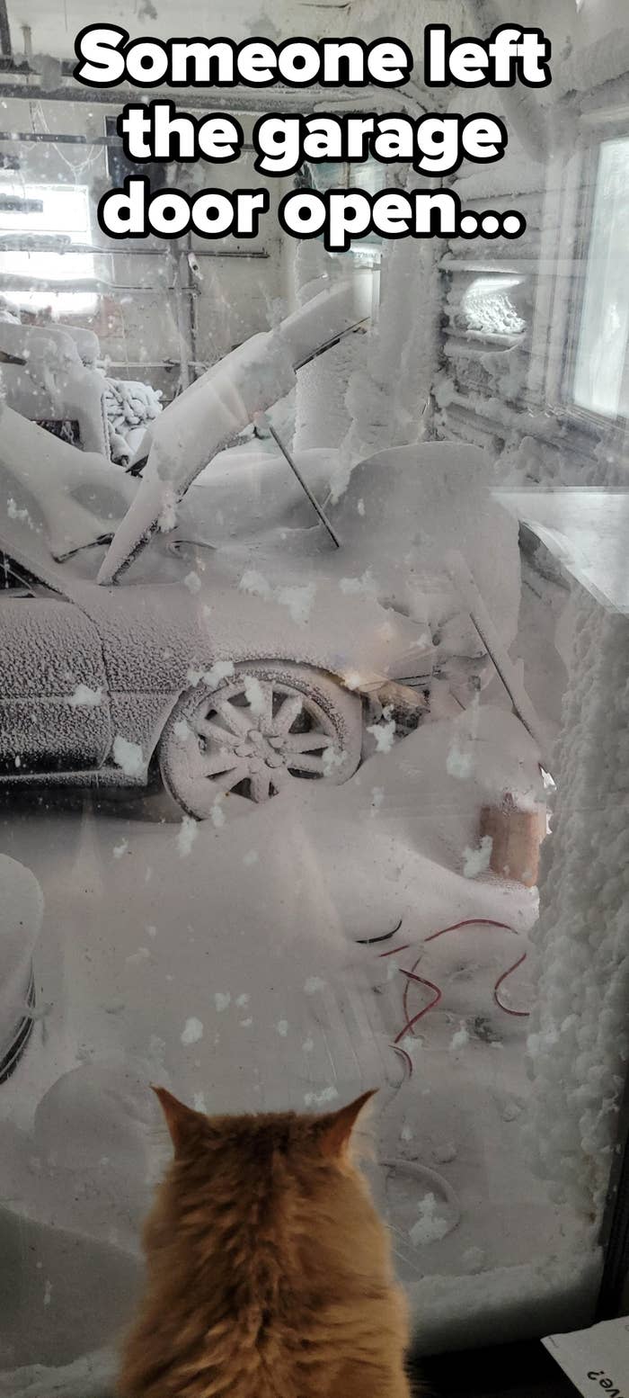 open garage for winter.jpg