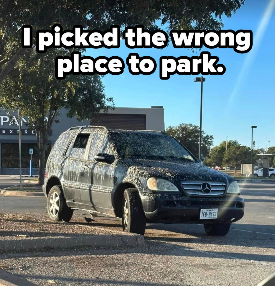 wrong parking spot with window open.jpg