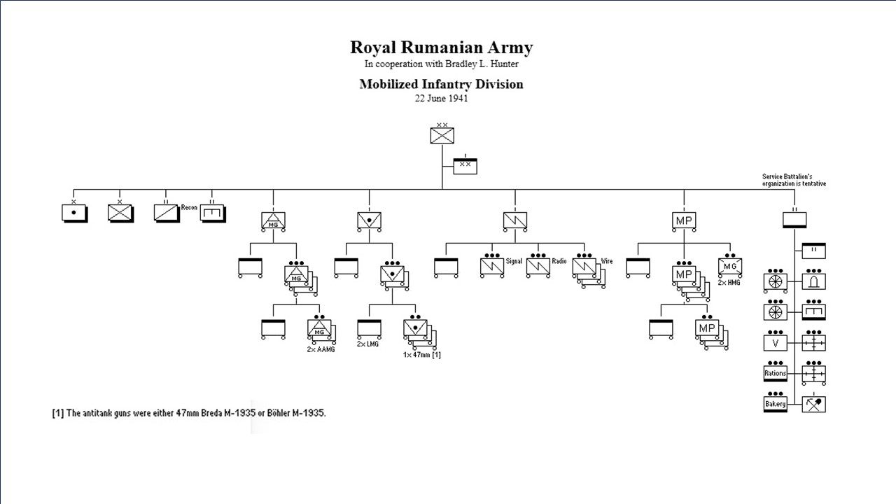 T05 Division.jpg