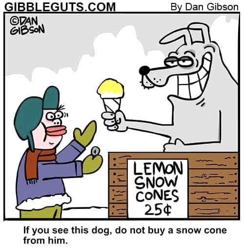 lemon snow cones.jpg