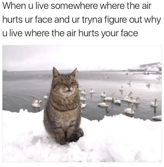 trying to figure out life.jpg