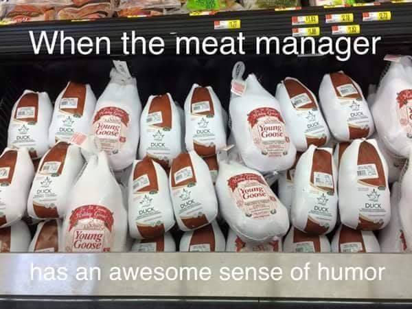 duck duck goose.jpg