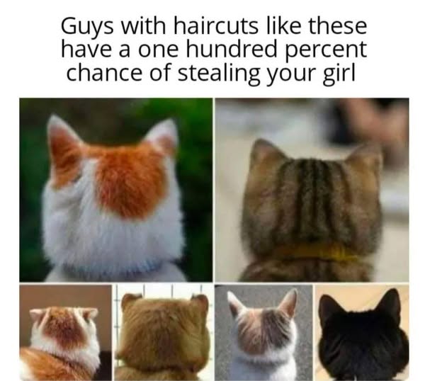 these guys will steal your girl.jpg