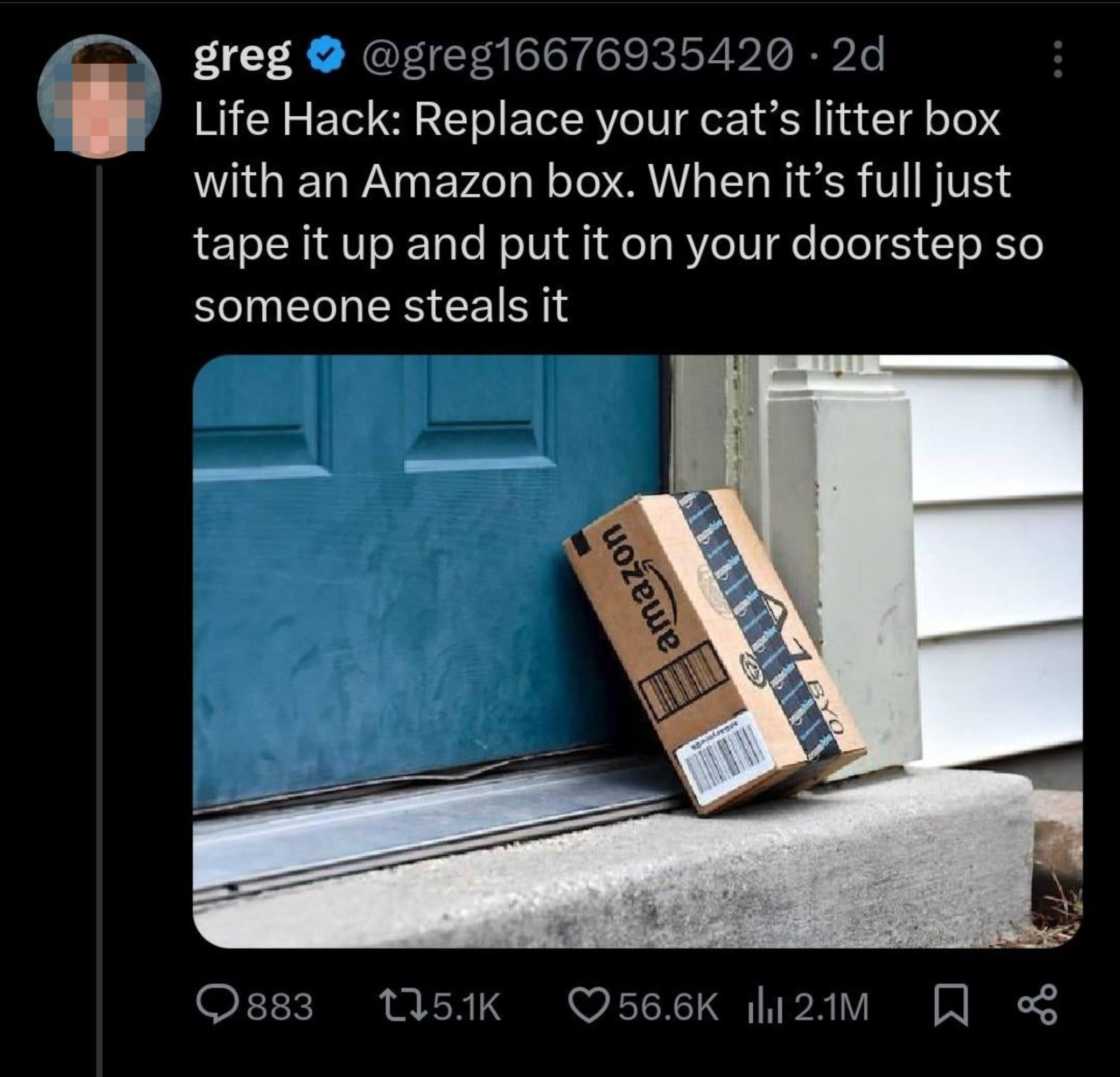 get rid of cat litter.jpg
