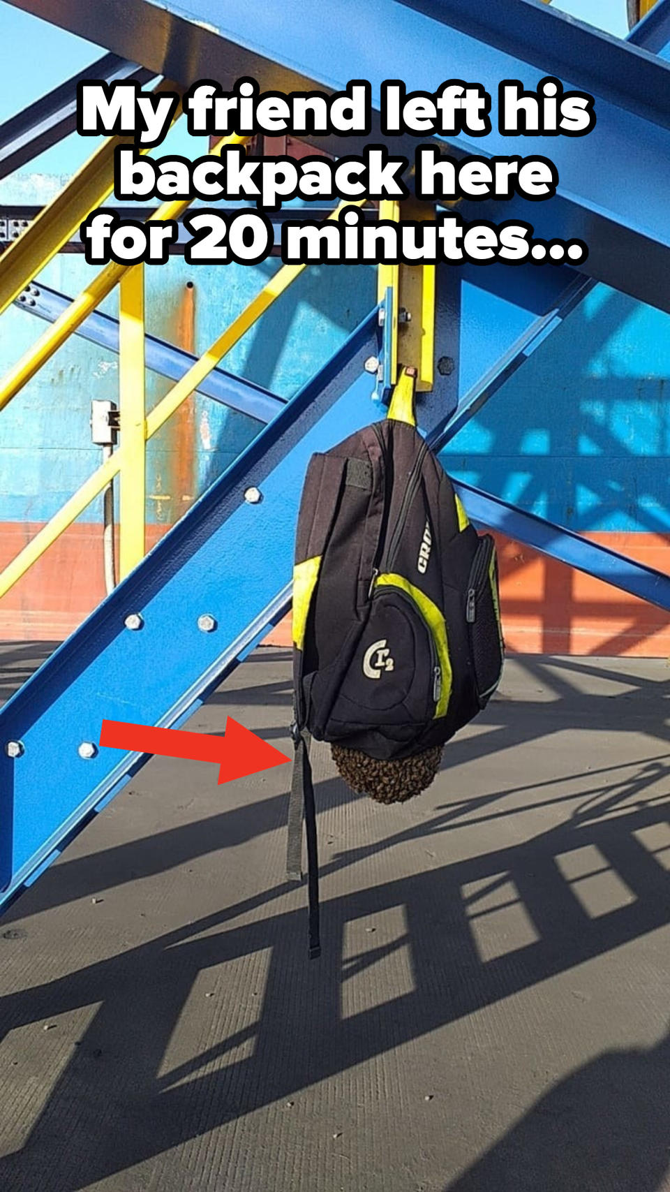 beehive backpack.jpg