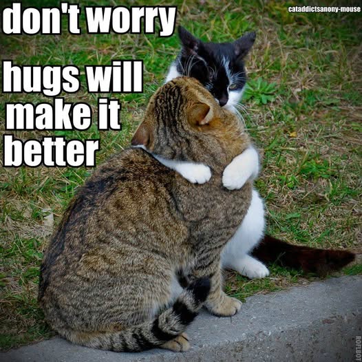 hugs make it better.jpg