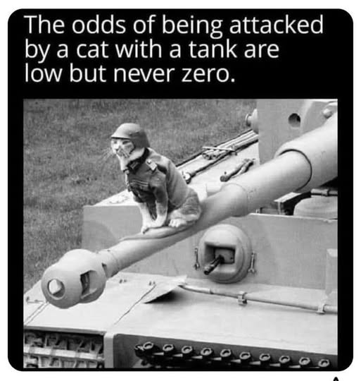 panzer cat.jpg