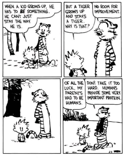 calvin  tiger needs no improvement.jpg
