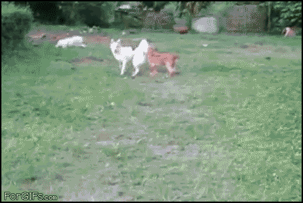 Not quite.gif