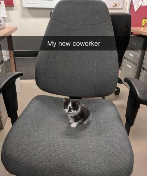 new coworker.jpg
