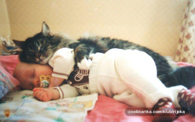 cuddles.jpg