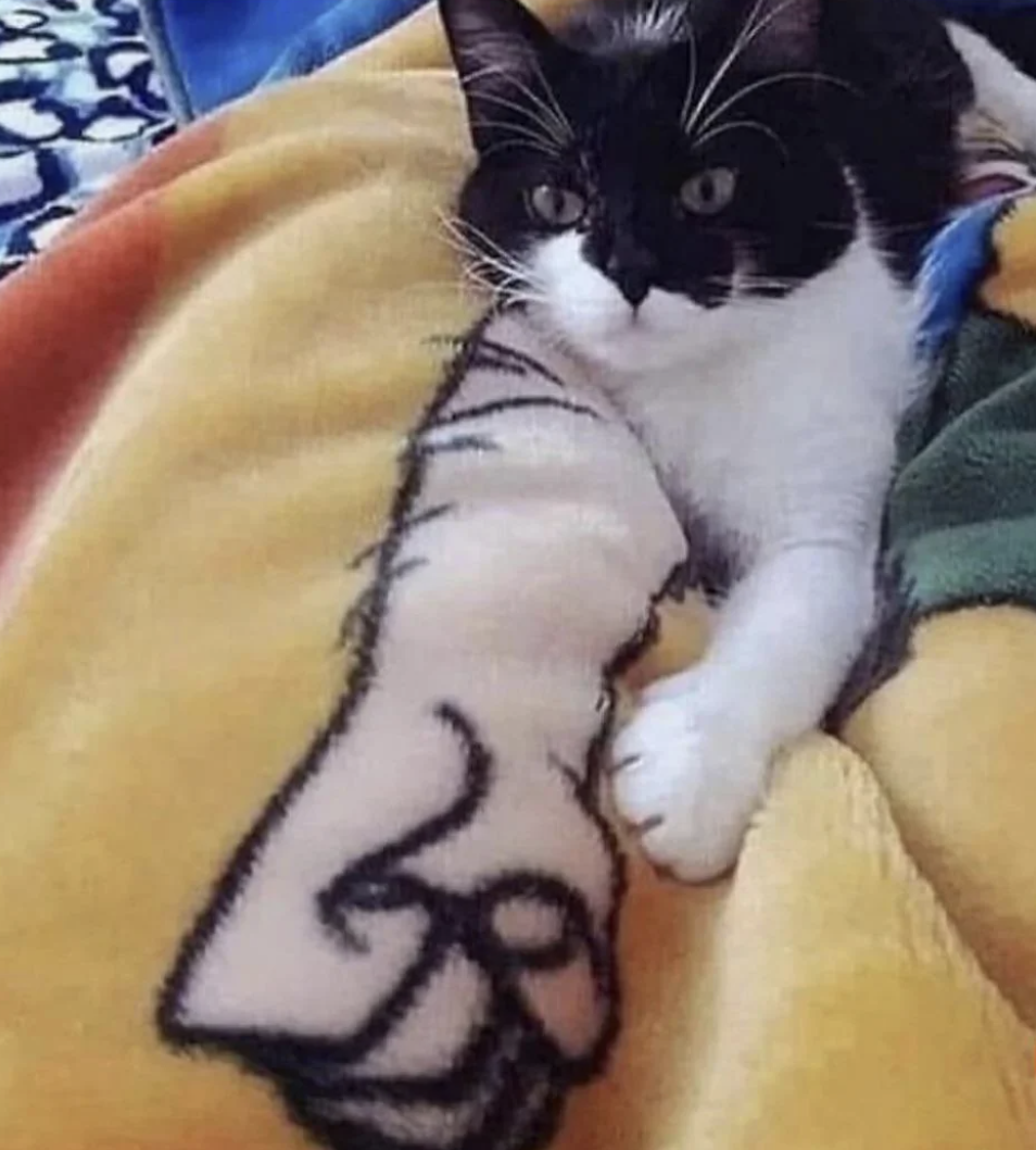 cat  with human arm and fist.png