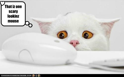 scary mouse.jpg