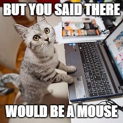 no mouse.jpg