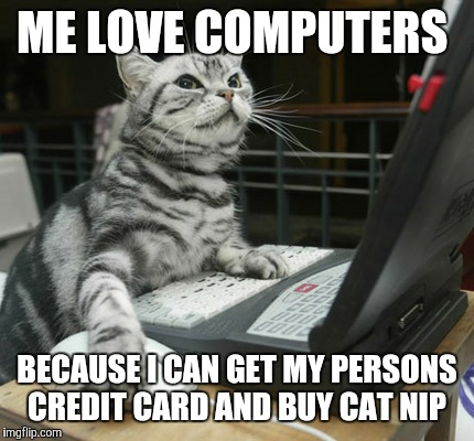 cat loves computer.jpg