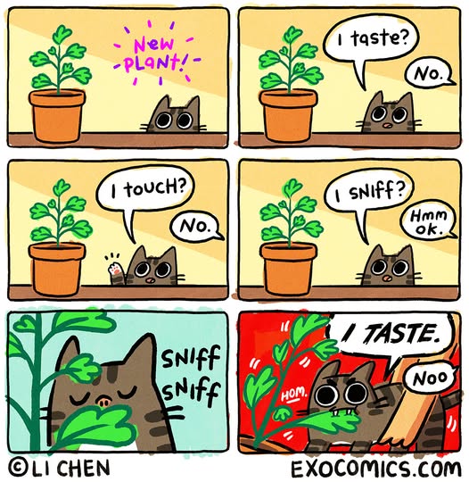 cat with new plant.jpg