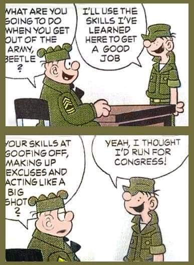 Beetle Bailey for Congress.jpg