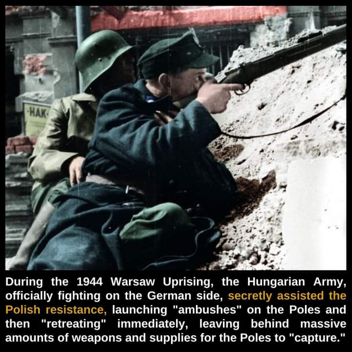 hungarian army helped poles.jpg