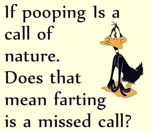 if pooping is a call of nature  does that mean farting is a missed call.jpg