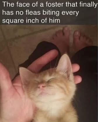 content foster face.jpg