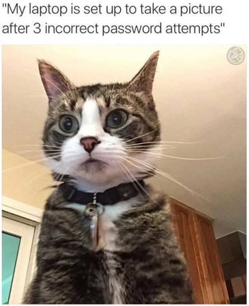 computer hacker.jpg