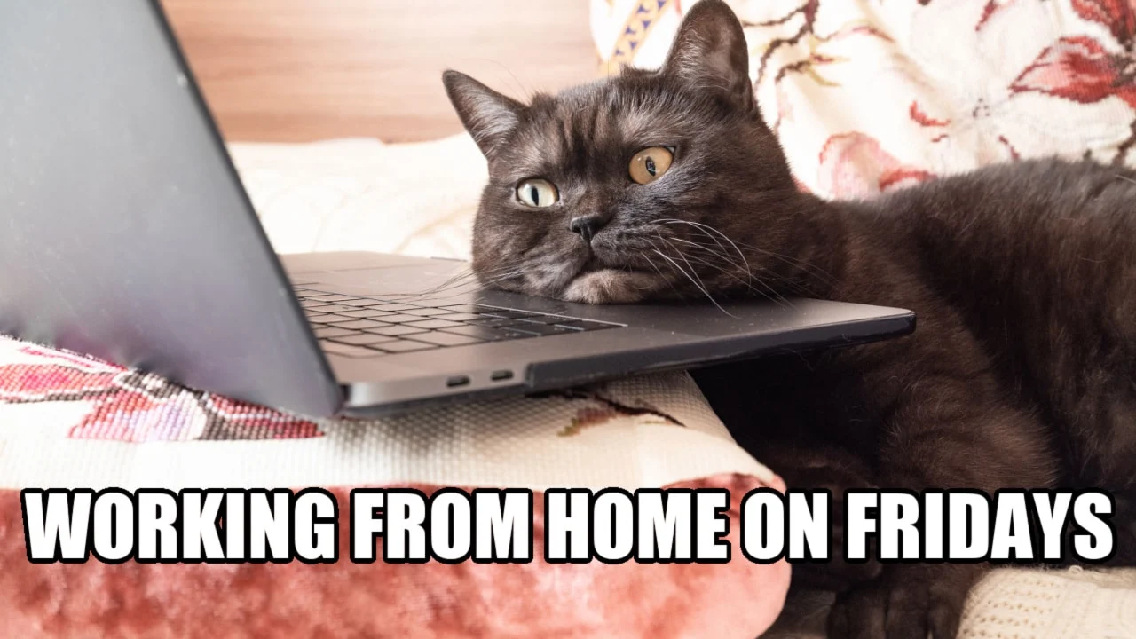 working from home on fridays.png