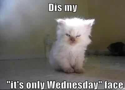 only wednesday face.jpg