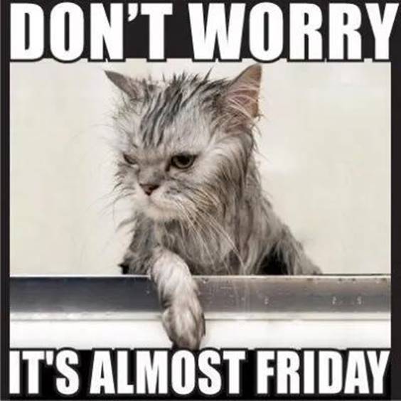dont worry  almost Friday.jpg