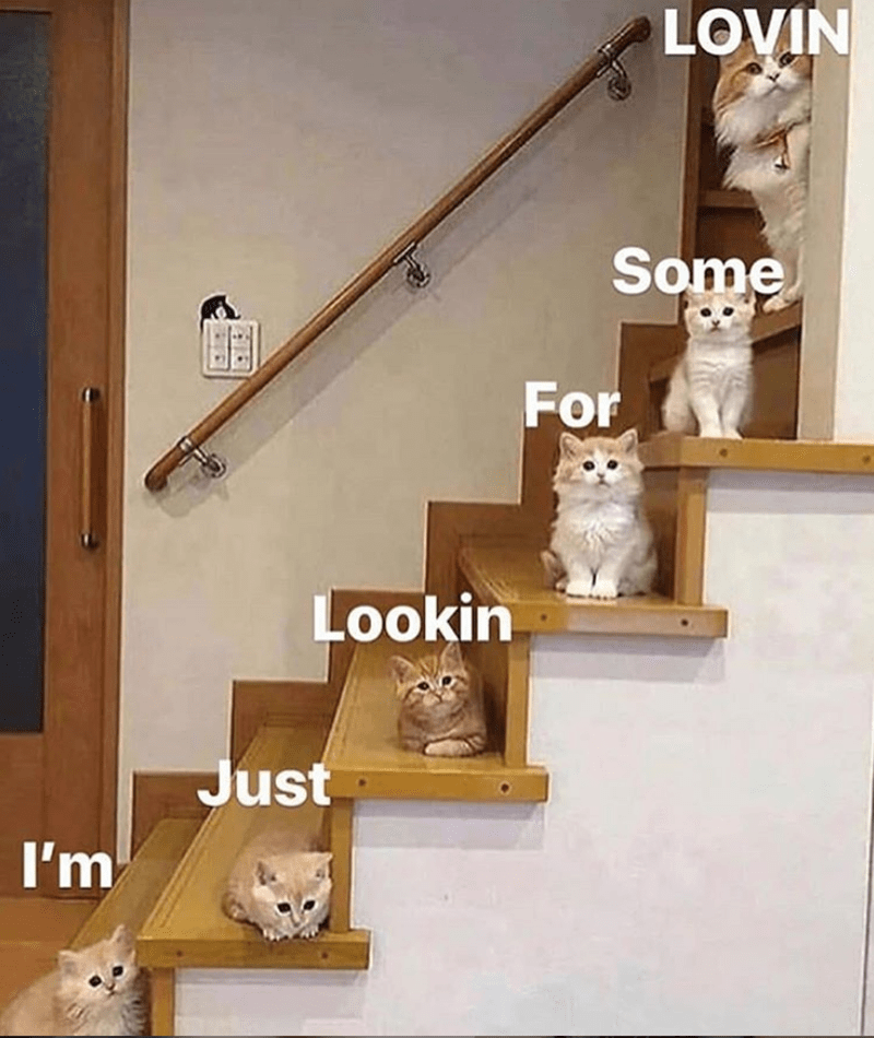 for Orm.png