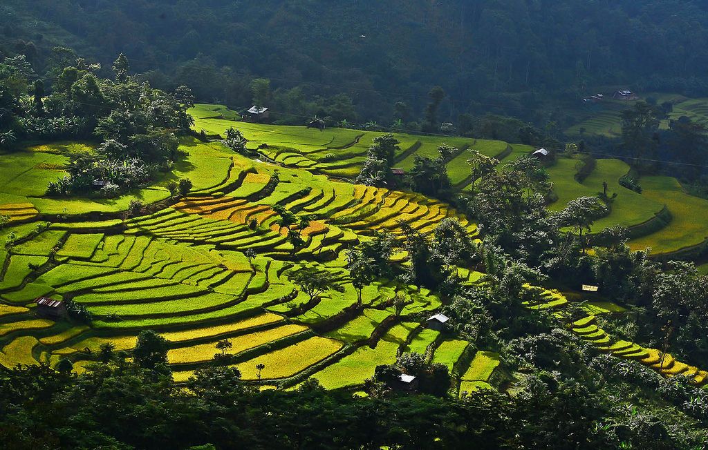 Kohima outskirts.jpg