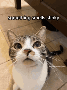 stinky-your-stinky.gif