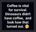 coffee and survival.jpg