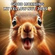 good morning.jpg