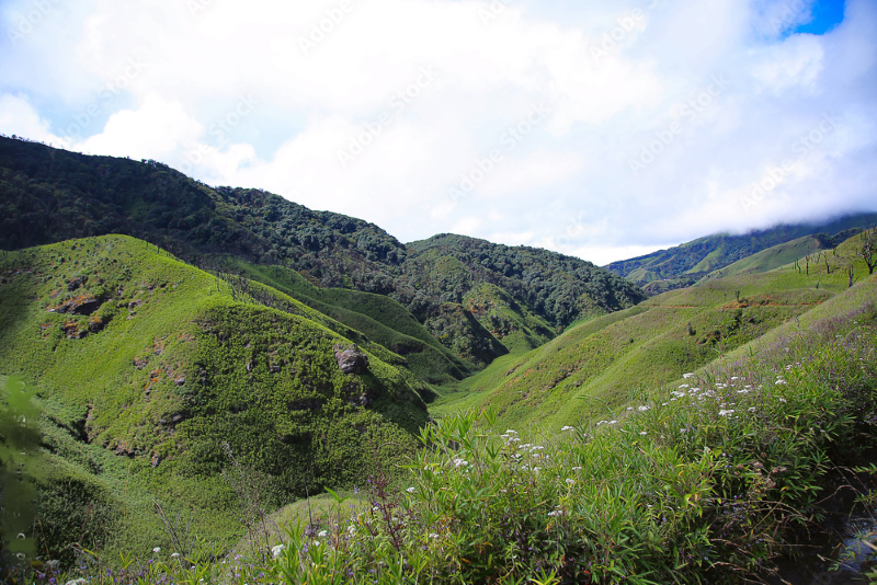 Dzukou Valley Nagaland-Kohima area.png