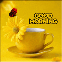 a good-morning.gif