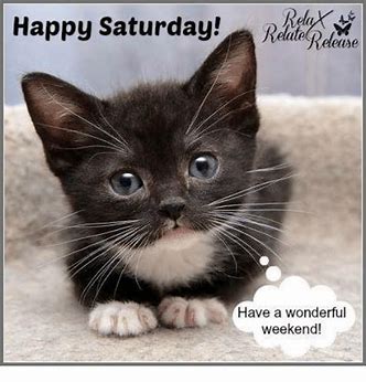 happy saturday.jpg