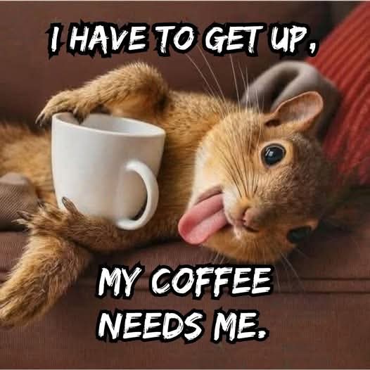 my coffee needs me.jpg