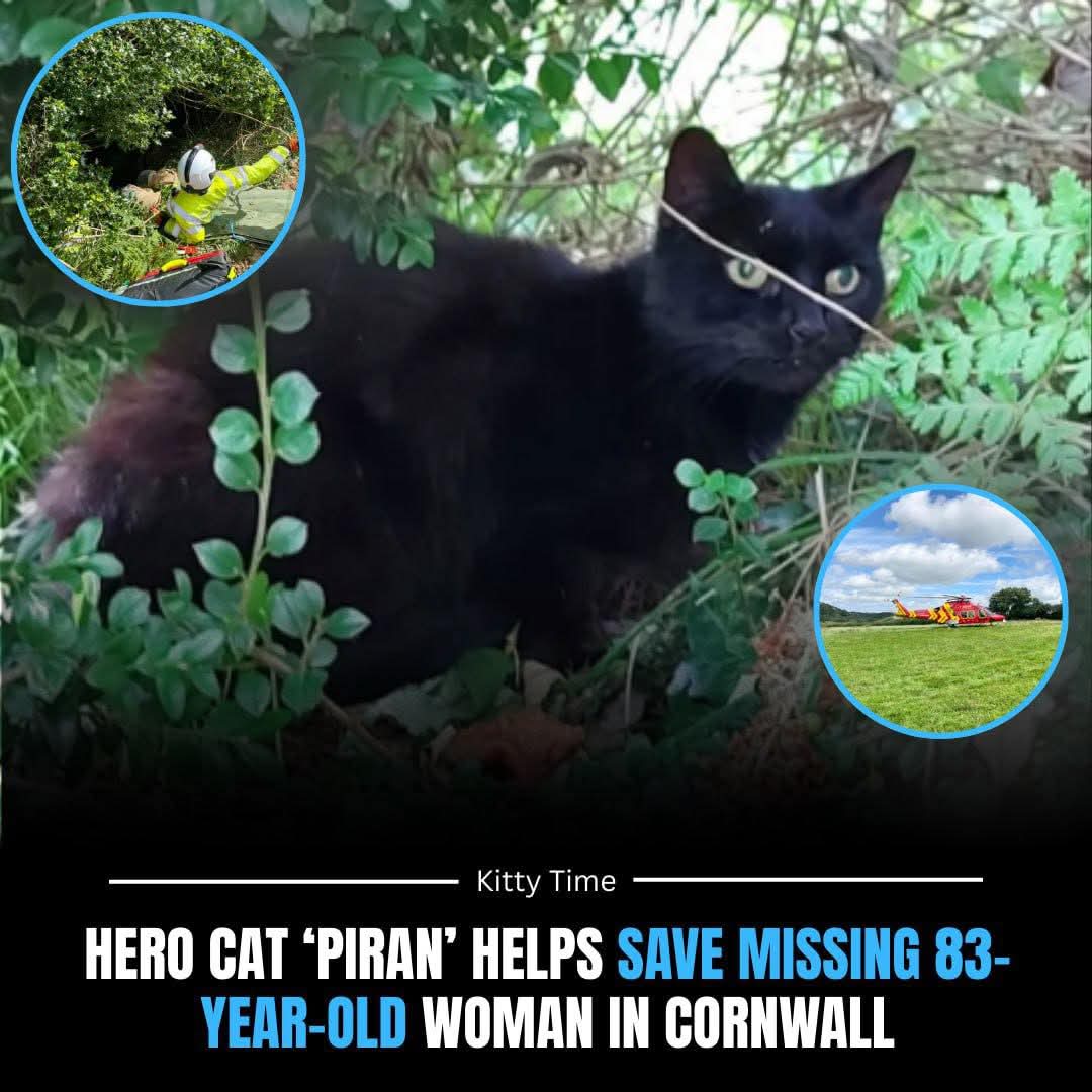 a black cat brought her good luck.jpg