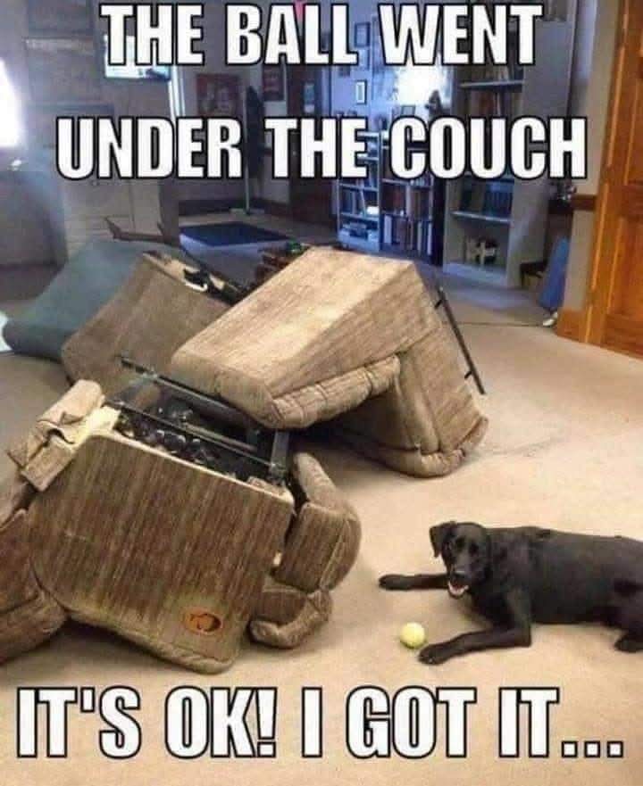 ball was under the couch.jpg