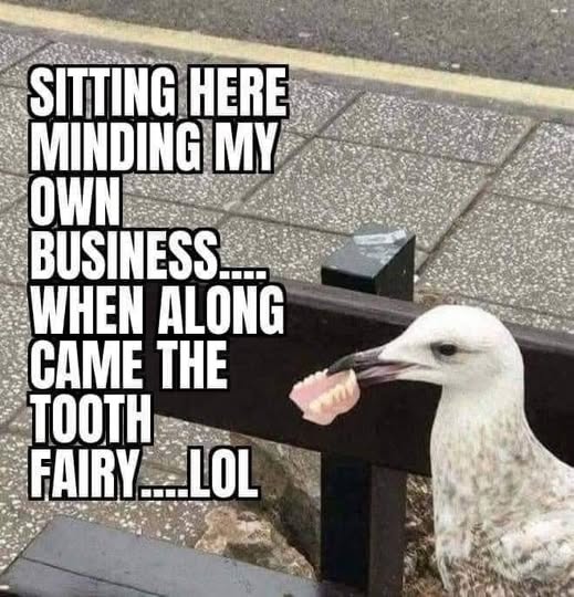 along came the tooth fairy.jpg