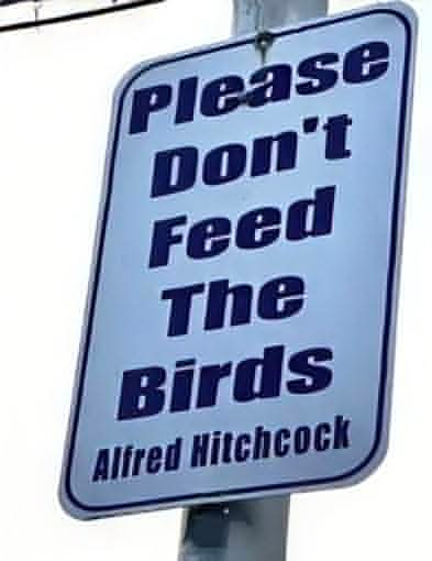 dont feed the bitds.jpg