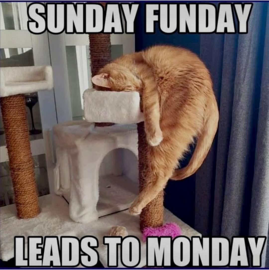 sunday funday leads to monday.jpg