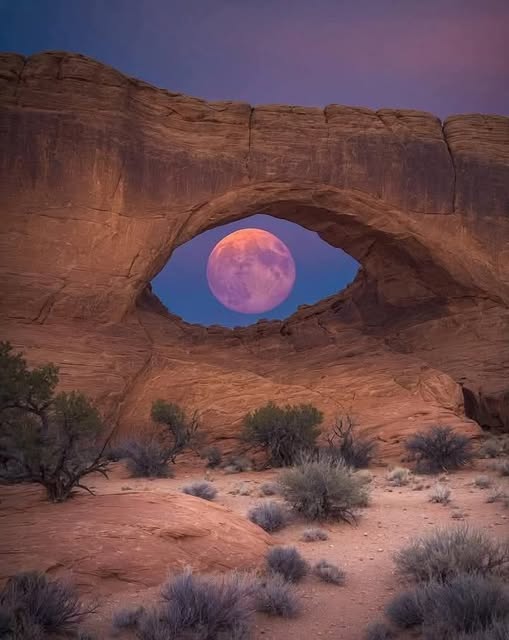 Arches National Park in Utah.jpg