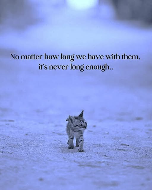 its never long enough.jpg