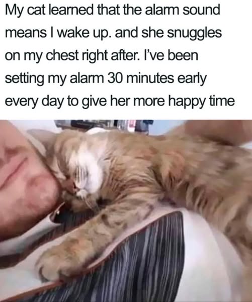alarm clock happy time.jpg