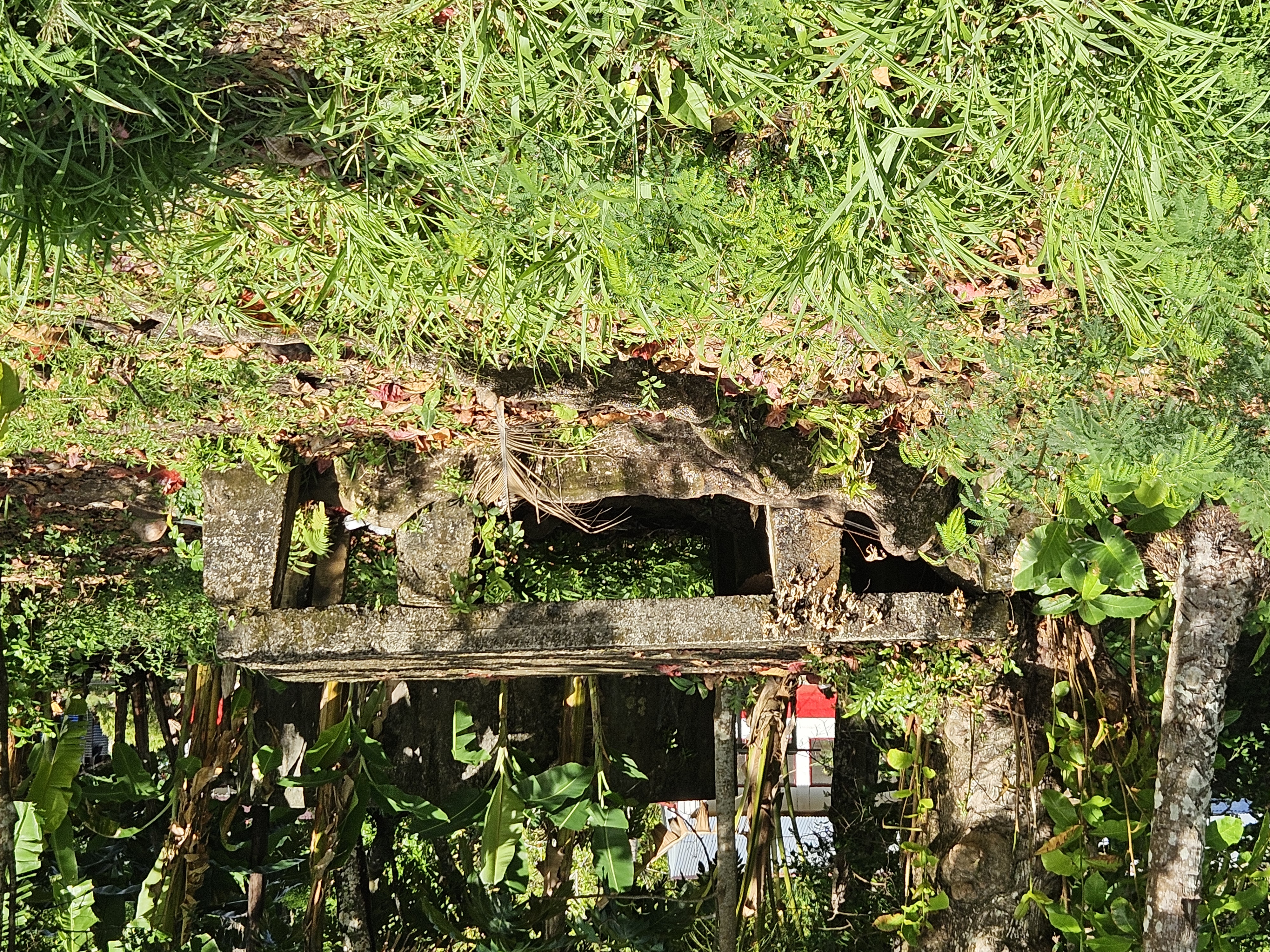 Abandoned Bldg Dublon.jpg