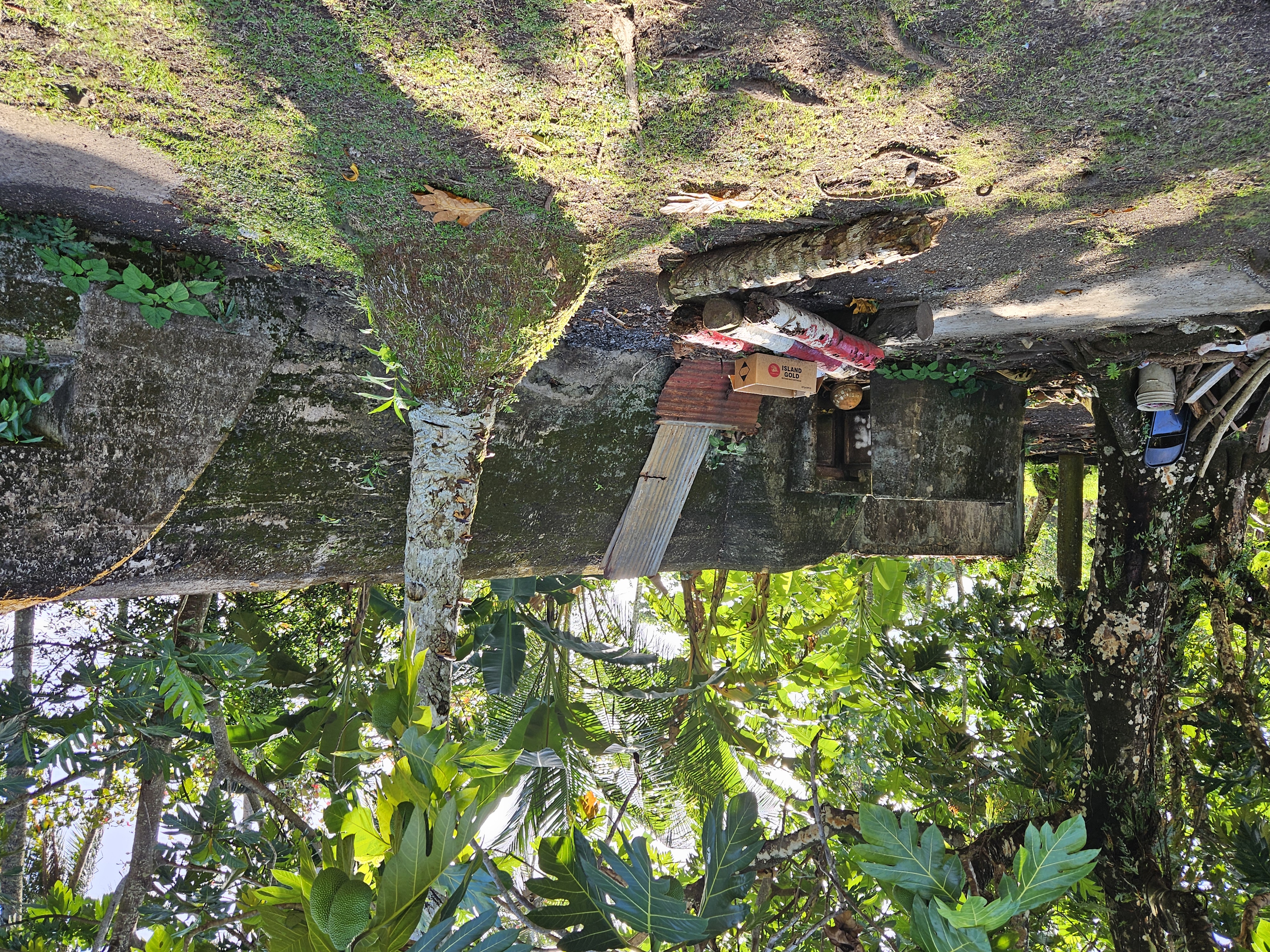 Sea Bunker 1 Rear.jpg