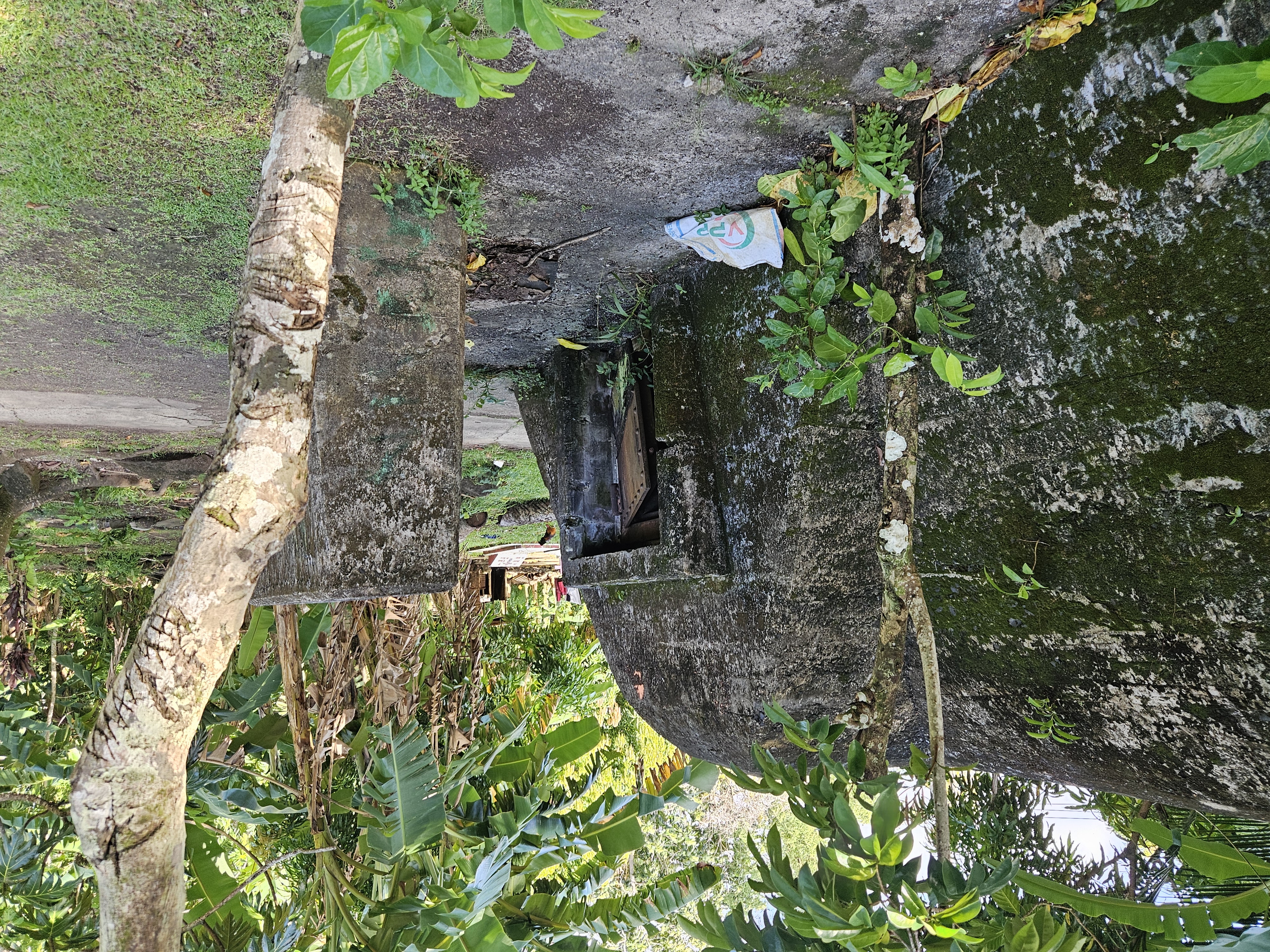 Sea Bunker 2 Rear Entrance with blast wall.jpg